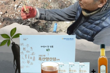 산야초산양산삼액 1box 30봉(산양산삼천연발효청증정)